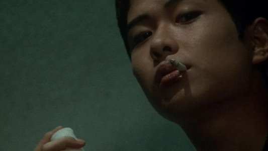 新宿黒社会 チャイナマフィア戦争
