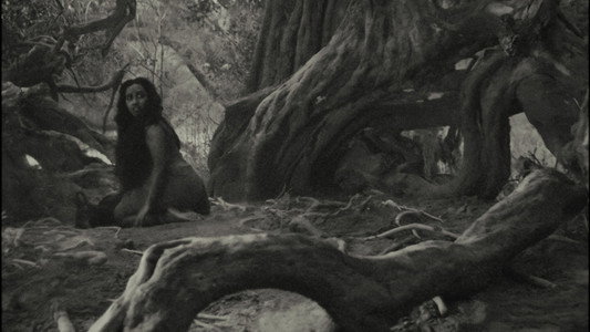 The Lost Calf