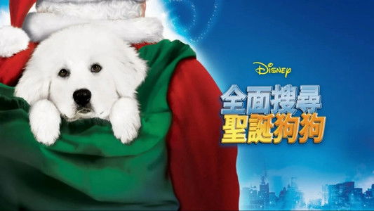 The Search for Santa Paws