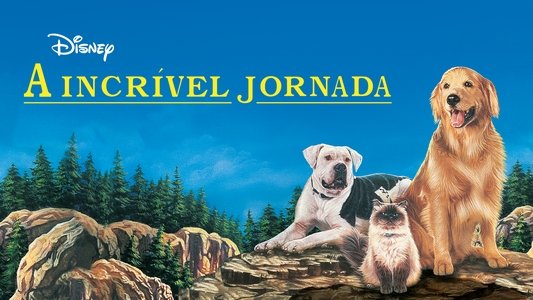 Homeward Bound: The Incredible Journey