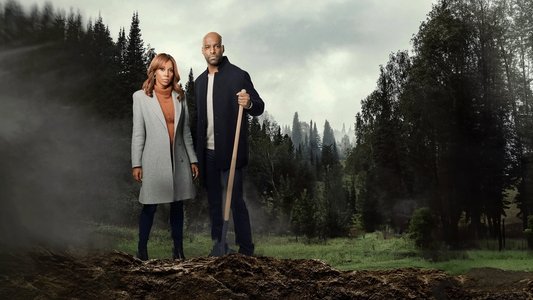 Morning Show Mysteries: Murder Ever After