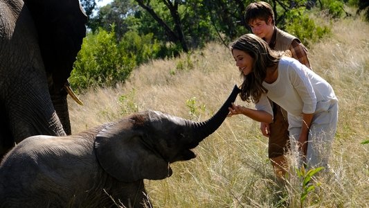 An Elephant's Journey