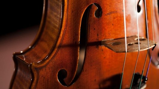 The Violin Alone