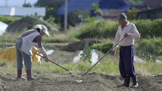 Tchernobyl, Fukushima : Vivre avec