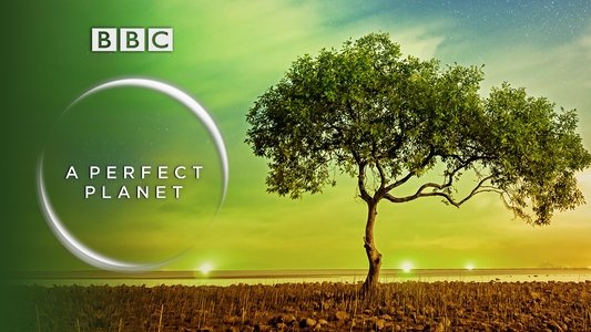 A Perfect Planet