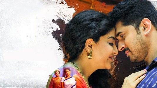 నాతిచరామి
