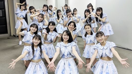ハロドリ