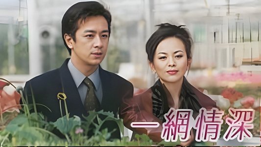 一網情深