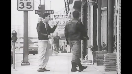 The Natural History of Parking Lots