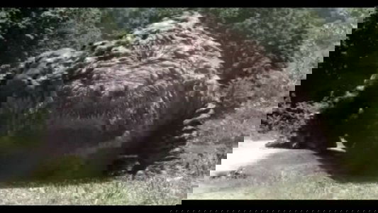 荒神