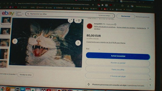 How To Save A Cat?