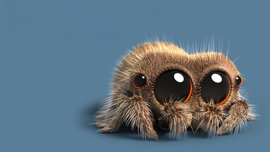 Lucas the Spider