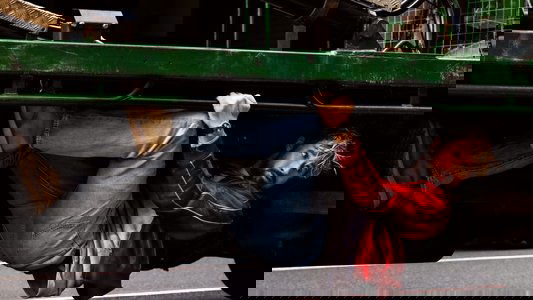 The Fall Guy