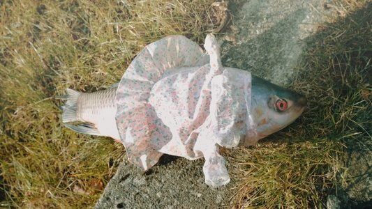 Hasselager Hunchback