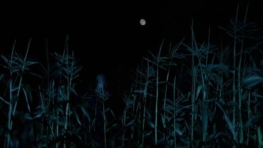 The Town That Dreaded Sundown
