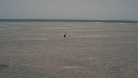 The Odyssey