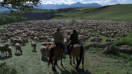 Brokeback Mountain