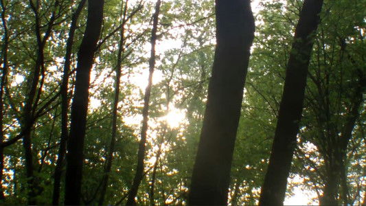 Влюбленный Нил 2