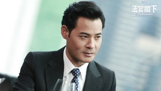 是咁的，法官閣下