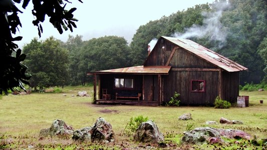 La región salvaje