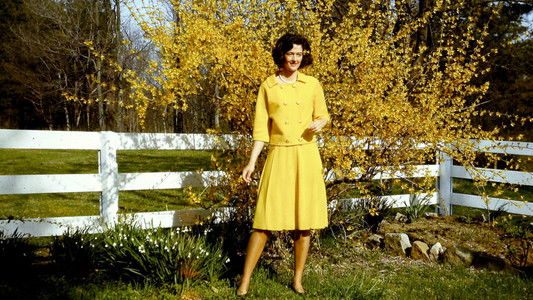 Dian Fossey: Ihr Leben für die Gorillas