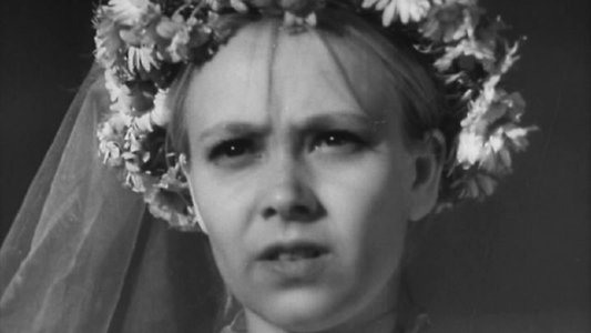 Драма в цирюльне
