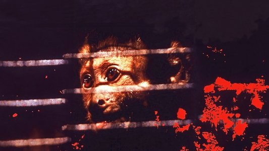 Monkey Shines