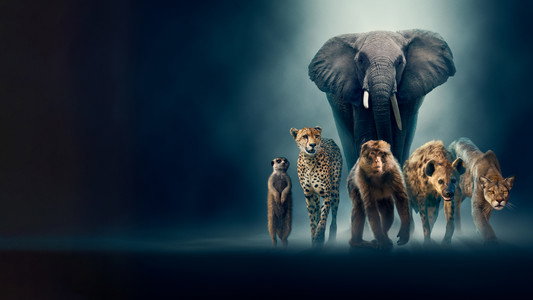 Dynasties