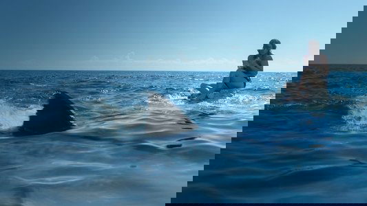 Something in the Water