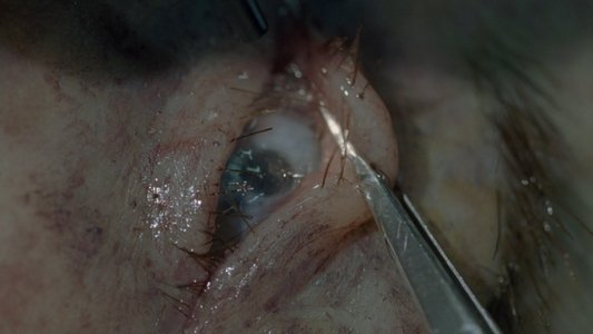 Il cartaio