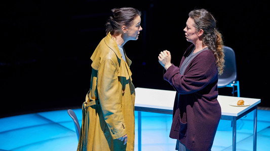 National Theatre Archive: Mosquitoes