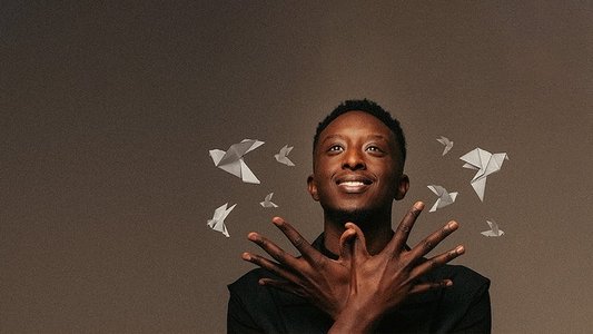 Ahmed Sylla - Origami