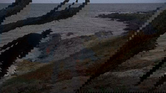 Vertigo