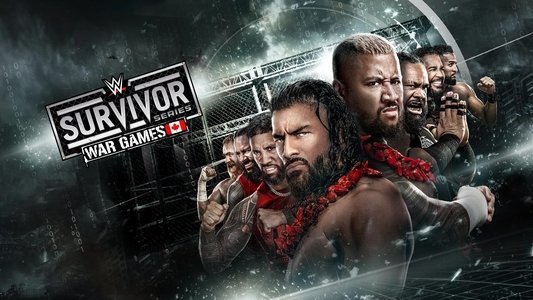 WWE Survivor Series: WarGames 2024
