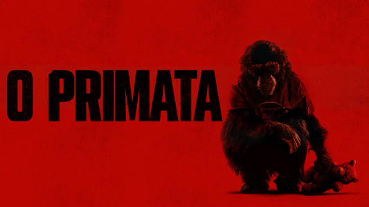 Primate