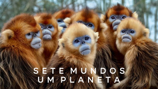 Seven Worlds, One Planet