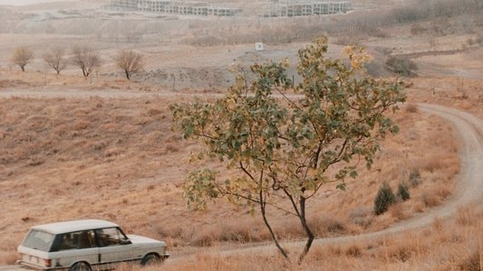 طعم گيلاس