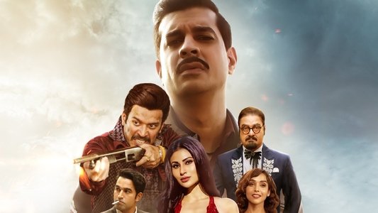 दिल्ली का सुल्तान