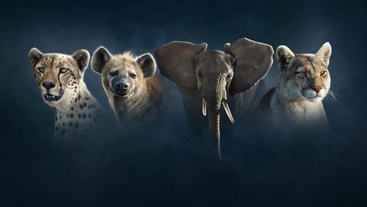 Dynasties