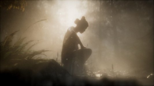 Das Grab der Schamanin - Ein Geheimnis aus der Steinzeit
