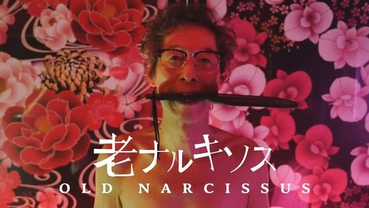 老ナルキソス