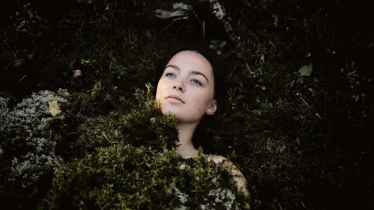 Den sista sommaren