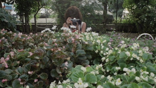人妻コレクター