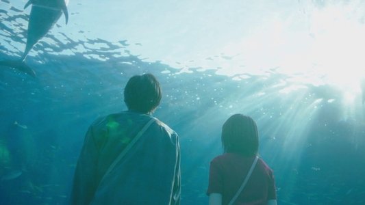 今夜、世界からこの恋が消えても