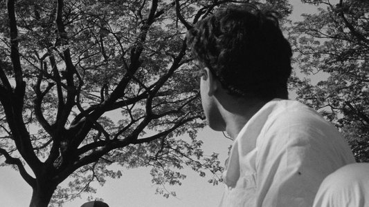 মেঘে ঢাকা তারা