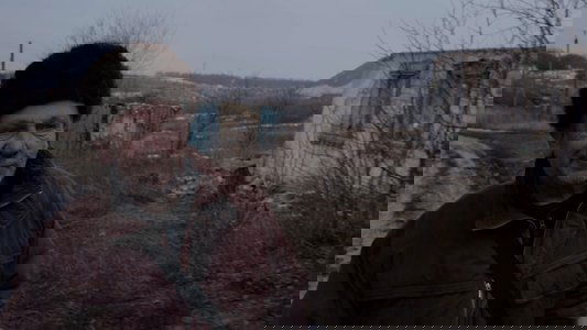 Сірі бджоли