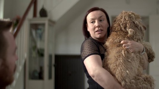 L.T.'s Theory of Pets