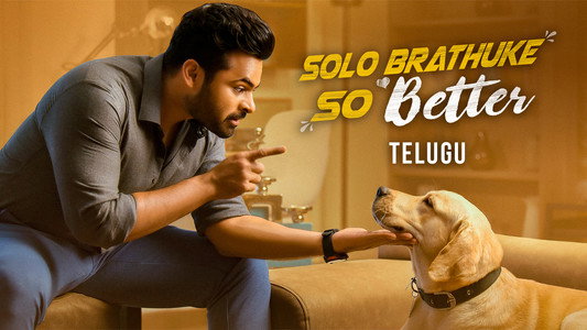 సోలో బ్రతుకే సో బెటర్