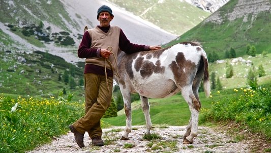 La sedia della felicità