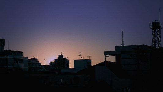 東京の雪男